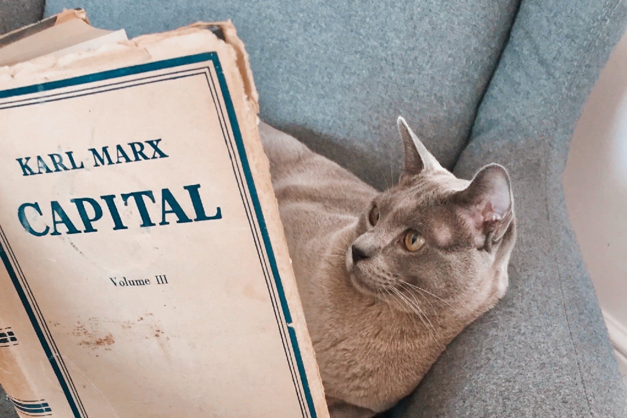 5 Buku Pengantar Kritik Kapitalisme